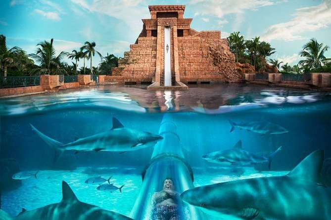 Location & Context Within Dubai