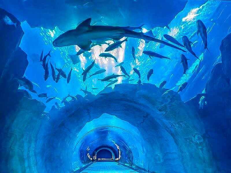 Key Features & Attractions