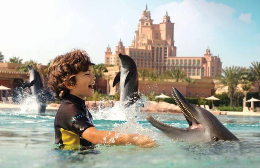 Dubai Dolphinarium Key Attractions and Experiences