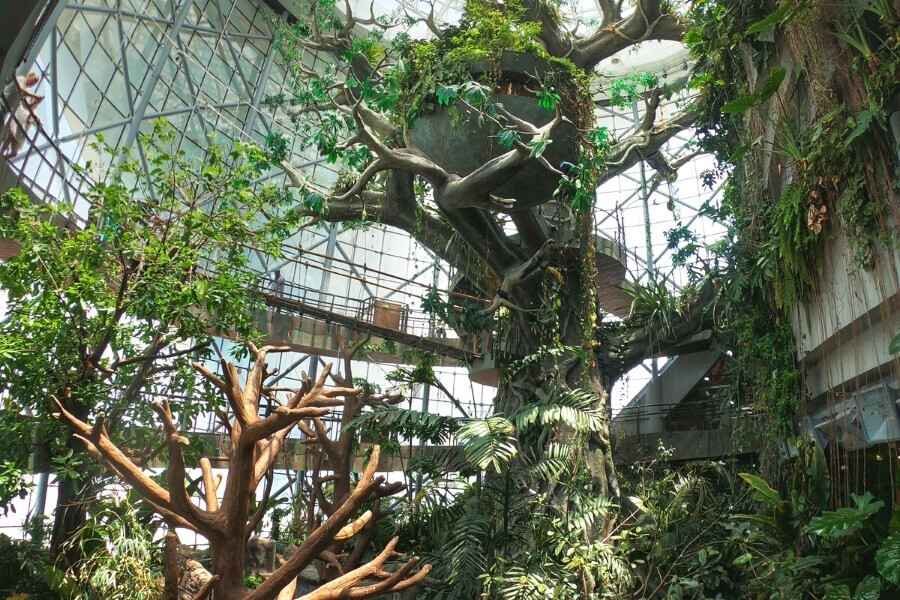 The Green Planet Dubai