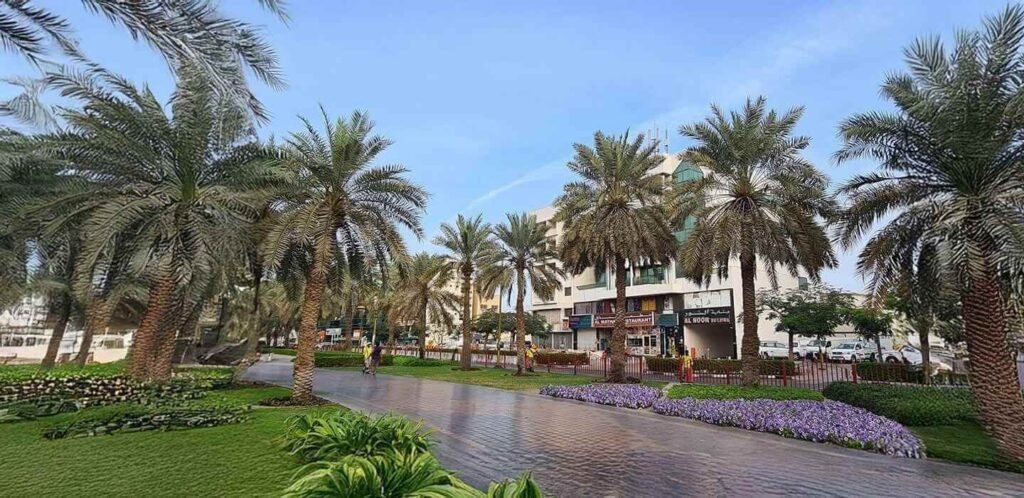 Parks, Recreation, and Outdoor Spaces