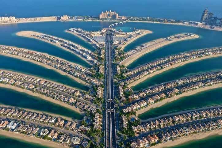 What Is the Palm Monorail and Why It Exists